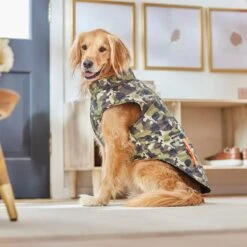 Frisco Mediumweight Camo Print Insulated Dog & Cat Zippered Coat, Green -Meowverse Store 268295 PT8. AC SS1800 V1629755320