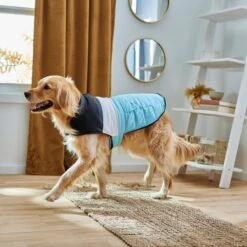 Frisco Mediumweight Colorblock Insulated Dog & Cat Puffer Coat With Pocket, Blue -Meowverse Store 268311 PT8. AC SS1800 V1629766581