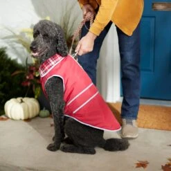Frisco Mediumweight Reflective Water-Resistant Insulated Dog & Cat Coat 13 Frisco Mediumweight Reflective Water-Resistant Insulated Dog & Cat Coat -Meowverse Store 268342 PT8. AC SS1800 V1629764397