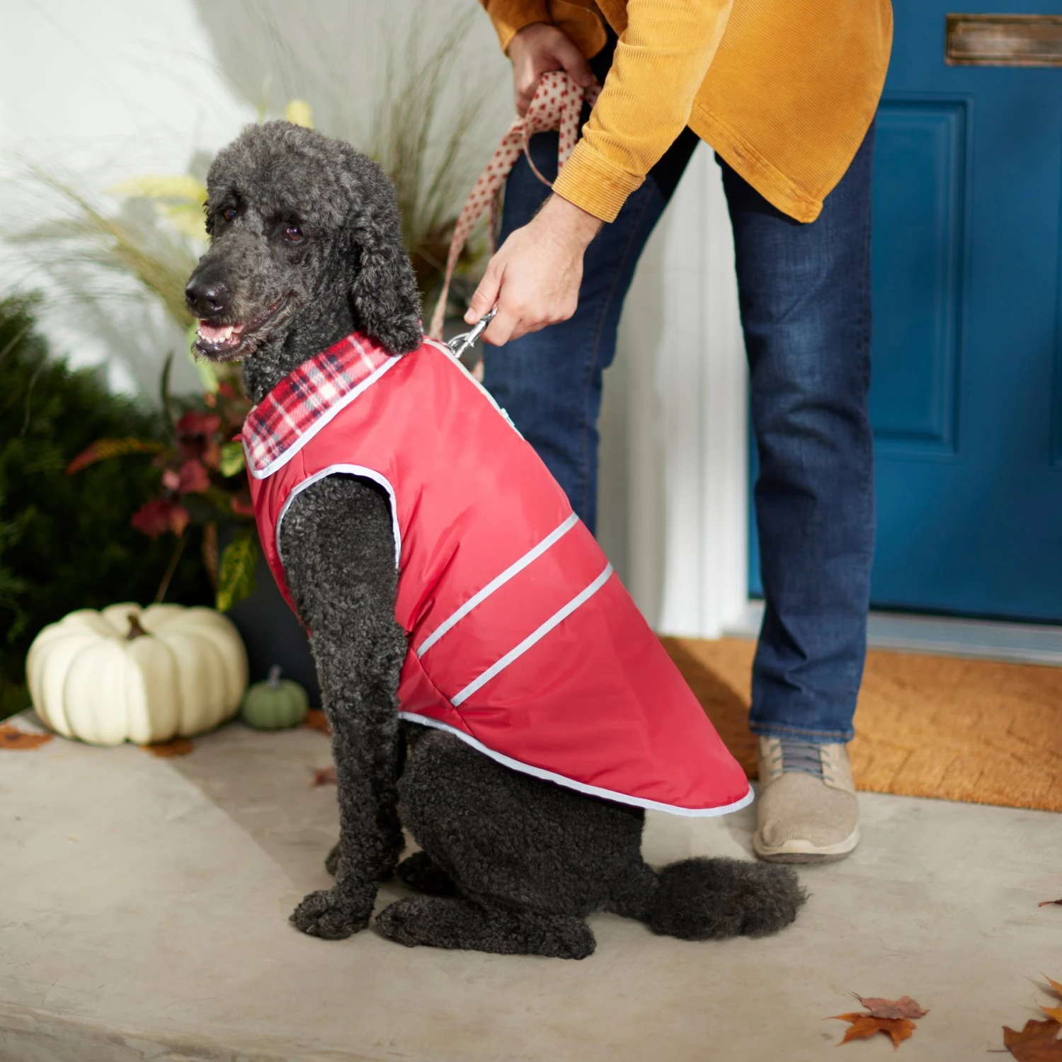 Frisco Mediumweight Reflective Water-Resistant Insulated Dog & Cat Coat 7 Frisco Mediumweight Reflective Water-Resistant Insulated Dog & Cat Coat - Image 7