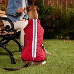 Frisco Mediumweight Reflective 2-in-1 Dog & Cat Fleece Coat 11 Frisco Mediumweight Reflective 2-in-1 Dog & Cat Fleece Coat -Meowverse Store 268359 PT8. AC SS1800 V1629759326