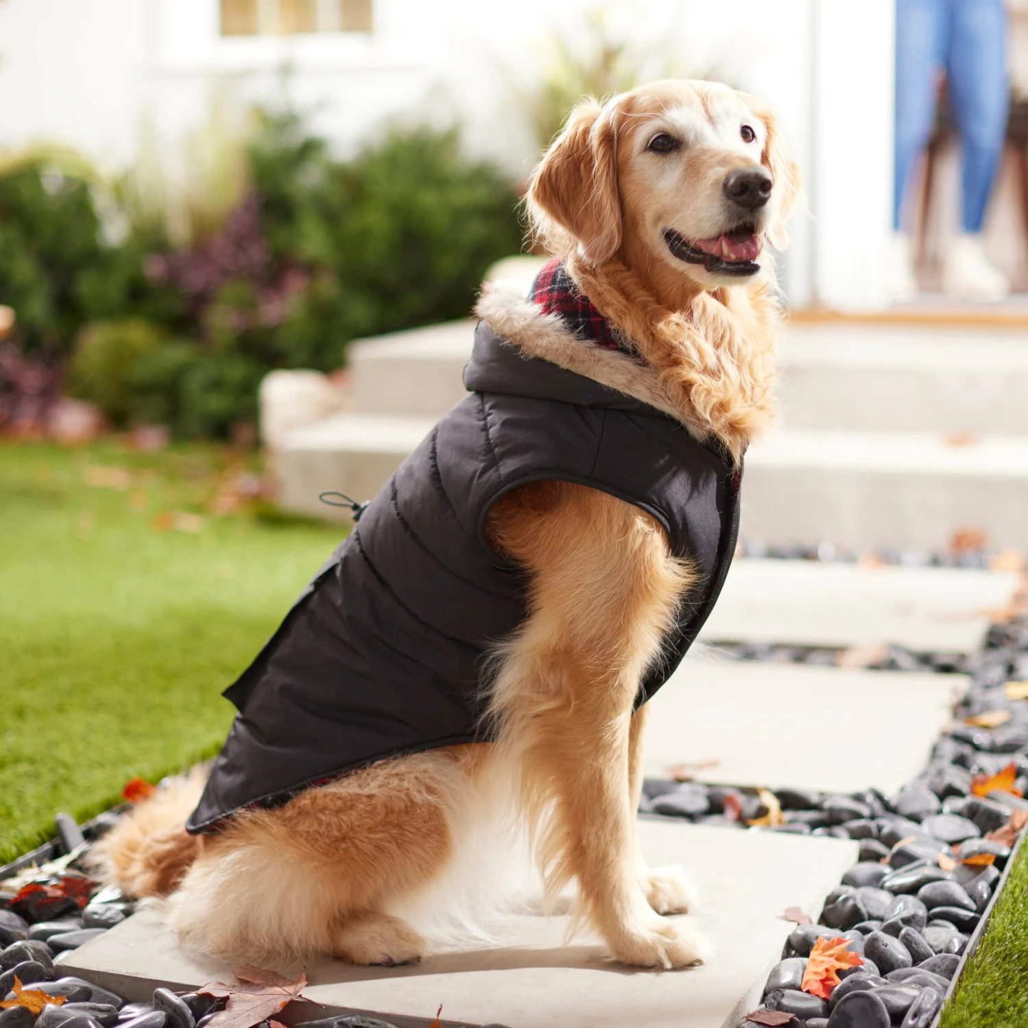 Frisco Mid-Heavyweight Cinching Insulated Dog & Cat Parka, Black/Red Plaid 7 Frisco Mid-Heavyweight Cinching Insulated Dog & Cat Parka, Black/Red Plaid - Image 7