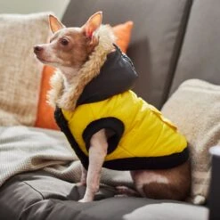 Frisco Heavyweight Anchorage Insulated Dog & Cat Parka, Yellow/Black 13 Frisco Heavyweight Anchorage Insulated Dog & Cat Parka, Yellow/Black -Meowverse Store 268397 PT8. AC SS1800 V1629761431