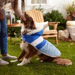 Frisco Heavyweight Chevron Insulated Dog & Cat Parka With Pocket -Meowverse Store 268405 PT8. AC SS1800 V1629766395