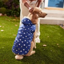 Frisco Mediumweight Metallic Star Print Insulated Dog & Cat Parka, Navy 13 Frisco Mediumweight Metallic Star Print Insulated Dog & Cat Parka, Navy -Meowverse Store 268413 PT8. AC SS1800 V1629757357