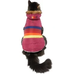 Frisco Mediumweight Colorblock Adventure Insulated Dog & Cat Parka -Meowverse Store 268421 PT2. AC SS1800 V1628779779