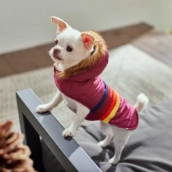 Frisco Mediumweight Colorblock Adventure Insulated Dog & Cat Parka -Meowverse Store 268421 PT8. AC SS1800 V1629835230