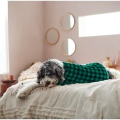 Frisco Dog & Cat Cozy Plush Fleece PJs, Green Plaid -Meowverse Store 268517 PT8. AC SS1800 V1629755447