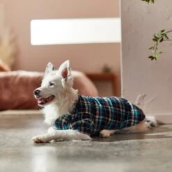 Frisco Multi-Plaid Dog & Cat Flannel Shirt 17 Frisco Multi-Plaid Dog & Cat Flannel Shirt -Meowverse Store 268588 PT8. AC SS1800 V1629755804