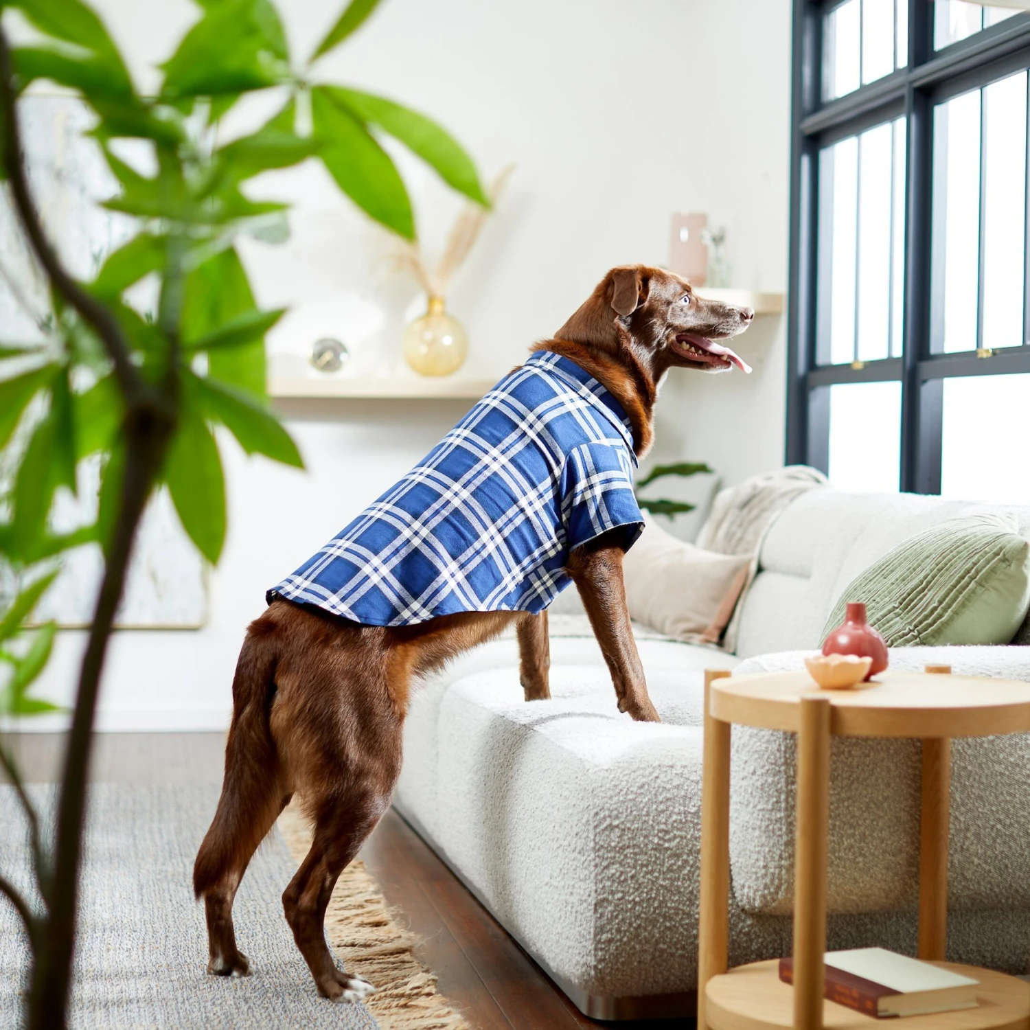 Frisco Navy Plaid Dog & Cat Flannel Shirt 9 Frisco Navy Plaid Dog & Cat Flannel Shirt - Image 9