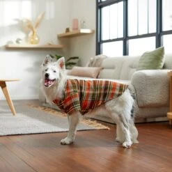 Frisco Orange & Olive Plaid Dog & Cat Flannel Shirt -Meowverse Store 268612 PT8. AC SS1800 V1629759992