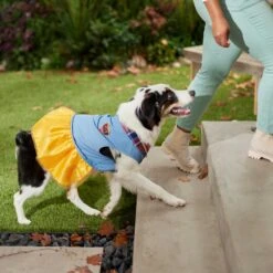 Frisco Chambray Plaid Dog & Cat Dress -Meowverse Store 268637 PT6. AC SS1800 V1637730174