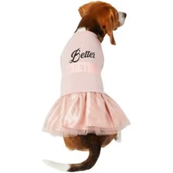 Frisco Better Together Dog & Cat Dress -Meowverse Store 268652 PT2. AC SS1800 V1637672268