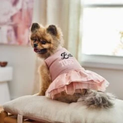 Frisco Better Together Dog & Cat Dress -Meowverse Store 268652 PT5. AC SS1800 V1637682716