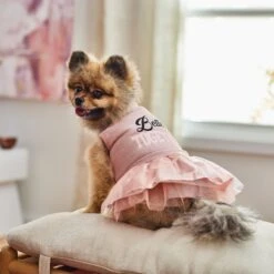 Frisco Better Together Dog & Cat Dress -Meowverse Store 268652 PT8. AC SS1800 V1629767211