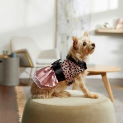 Frisco Pink Cheetah Dog & Cat Dress -Meowverse Store 268661 PT6. AC SS1800 V1637672527