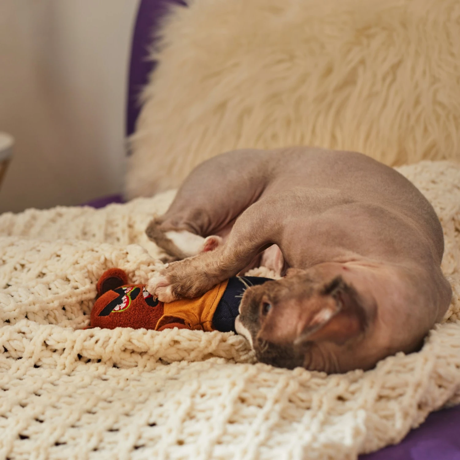 Frisco Halloween Good Bear, Bad Bear Reversible Plush Cat Toy With Catnip 4 Frisco Halloween Good Bear, Bad Bear Reversible Plush Cat Toy With Catnip - Image 4