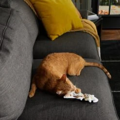 Frisco Halloween Good Witch, Bad Witch Reversible Plush Cat Toy With Catnip -Meowverse Store 270301 PT3. AC SS1800 V1624824841