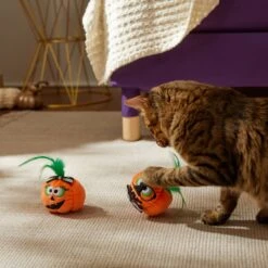 Frisco Halloween Nerdy Jack-o-Lanterns Plush Cat Toy With Catnip, 2 Count 6 Frisco Halloween Nerdy Jack-o-Lanterns Plush Cat Toy With Catnip, 2 Count -Meowverse Store 270313 PT3. AC SS1800 V1624824951