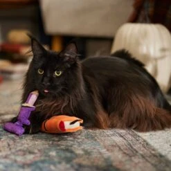 Frisco Halloween Enchanted Book & Candle Plush Cat Toy With Catnip, 2 Count 6 Frisco Halloween Enchanted Book & Candle Plush Cat Toy With Catnip, 2 Count -Meowverse Store 270321 PT3. AC SS1800 V1689878926