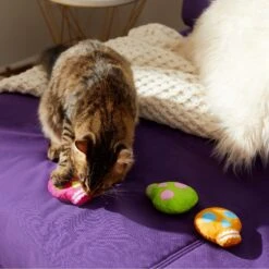 Frisco Colorful Skulls Plush Cat Toy With Catnip, 3 Count -Meowverse Store 270325 PT3. AC SS1800 V1630350992