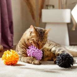 Frisco Halloween Moppy Ball Cat Toy With Catnip -Meowverse Store 270337 PT3. AC SS1800 V1624817812