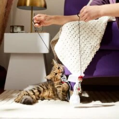 Frisco Sugar Skull Bride & Groom Bouncy Cat Toy With Catnip, 2 Count -Meowverse Store 270343 PT3. AC SS1800 V1624817778