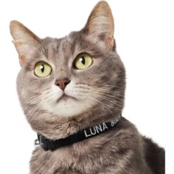 Frisco Nylon Personalized Breakaway Cat Collar With Bell -Meowverse Store 270731 PT3. AC SS1800 V1618936954