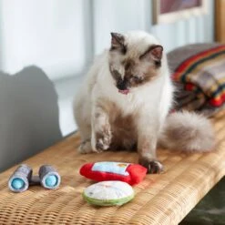 Frisco Camping Compass & Lantern Plush Cat Toy With Catnip, 2 Count 5 Frisco Camping Compass & Lantern Plush Cat Toy With Catnip, 2 Count -Meowverse Store 270985 PT3. AC SS1800 V1625009053