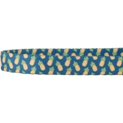 Frisco Pineapple Polyester Personalized Breakaway Cat Collar With Bell -Meowverse Store 271597 PT3. AC SS1800 V1618937222