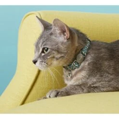 Frisco Pineapple Polyester Personalized Breakaway Cat Collar With Bell -Meowverse Store 271597 PT4. AC SS1800 V1618936919