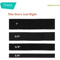 Frisco Rose Polyester Personalized Breakaway Cat Collar With Bell -Meowverse Store 271600 PT6. AC SS1800 V1629992541