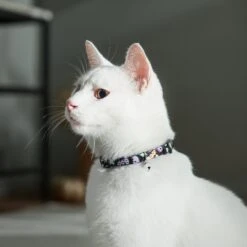 Frisco Flying Ghosts Cat Collar -Meowverse Store 272888 PT8. AC SS1800 V1623879659