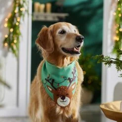 Frisco Peekaboo Reindeer Dog & Cat Bandana 13 Frisco Peekaboo Reindeer Dog & Cat Bandana -Meowverse Store 276198 PT5. AC SS1800 V1637644939