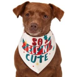 Frisco So Elf'n Cute Dog & Cat Bandana -Meowverse Store 276276 PT2. AC SS1800 V1637682999