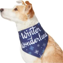 Frisco Winter Wonderland Dog & Cat Bandana 11 Frisco Winter Wonderland Dog & Cat Bandana -Meowverse Store 276279 PT3. AC SS1800 V1637688134