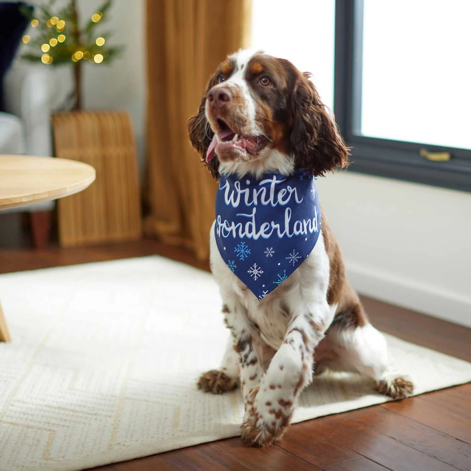 Frisco Winter Wonderland Dog & Cat Bandana 6 Frisco Winter Wonderland Dog & Cat Bandana - Image 6