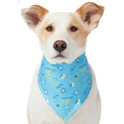 Frisco Festive Hanukkah Dog & Cat Bandana -Meowverse Store 276282 PT3. AC SS1800 V1637673704