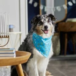 Frisco Festive Hanukkah Dog & Cat Bandana -Meowverse Store 276282 PT5. AC SS1800 V1637653030