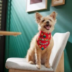 Frisco Santa's Favorite & Cheers To The New Year Dog & Cat Reversible Bandana 15 Frisco Santa's Favorite & Cheers To The New Year Dog & Cat Reversible Bandana -Meowverse Store 276285 PT6. AC SS1800 V1637668015