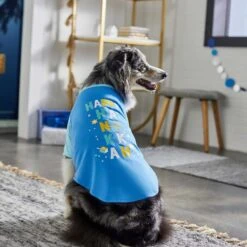 Frisco Happy Hanukkah Dog & Cat T-shirt -Meowverse Store 276480 PT5. AC SS1800 V1637646712