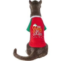 Frisco Santa I Can Explain Dog & Cat T-shirt -Meowverse Store 276496 PT2. AC SS1800 V1637682452