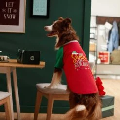 Frisco Santa I Can Explain Dog & Cat T-shirt -Meowverse Store 276496 PT5. AC SS1800 V1637677020