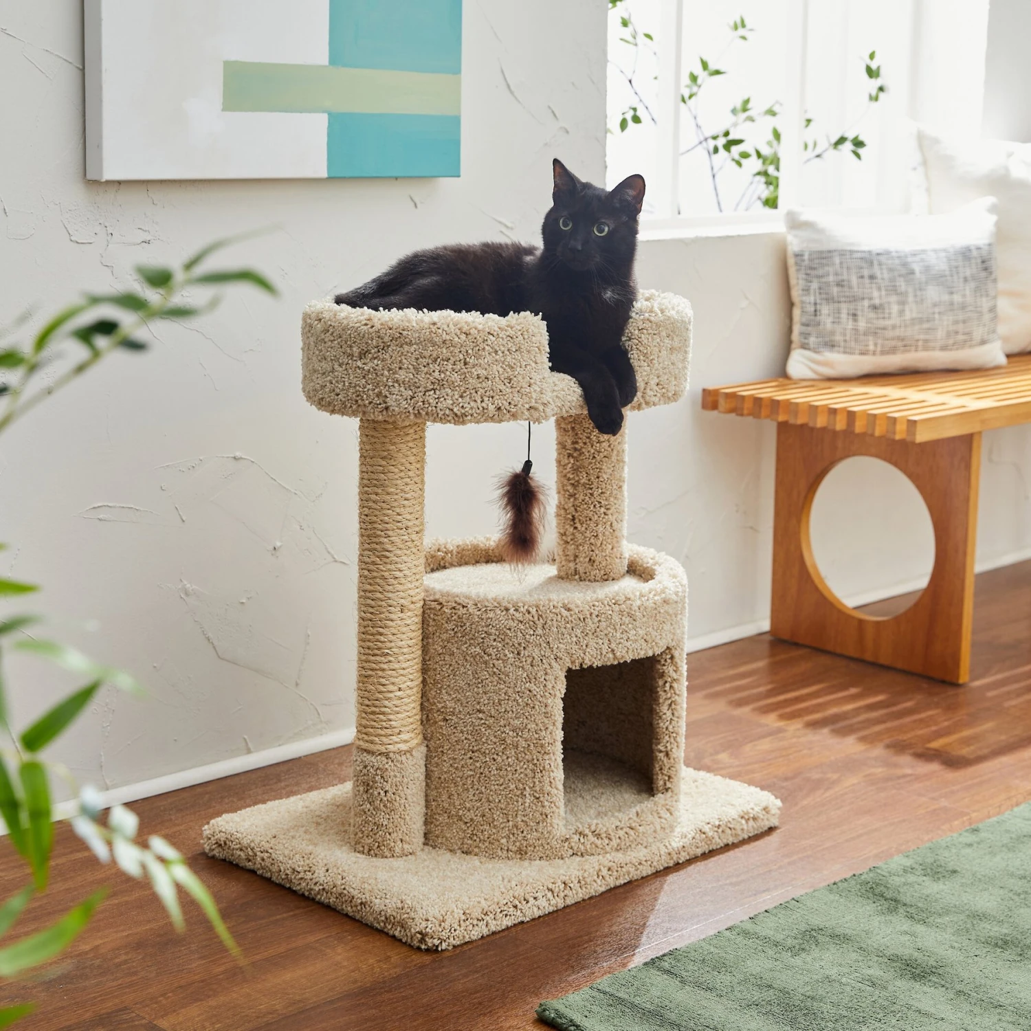 Frisco 27-in Real Carpet Cat Tree With Condo And Oval Perch 1 Frisco 27-in Real Carpet Cat Tree With Condo And Oval Perch