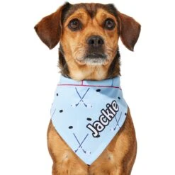 Frisco Ice Hockey Personalized Dog & Cat Bandana 15 Frisco Ice Hockey Personalized Dog & Cat Bandana -Meowverse Store 287048 PT6. AC SS1800 V1623246568
