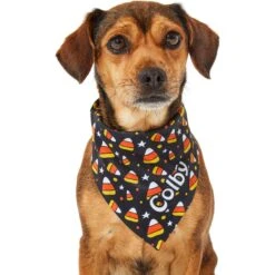 Frisco Candy Corn Personalized Dog & Cat Bandana 15 Frisco Candy Corn Personalized Dog & Cat Bandana -Meowverse Store 287056 PT6. AC SS1800 V1623246504