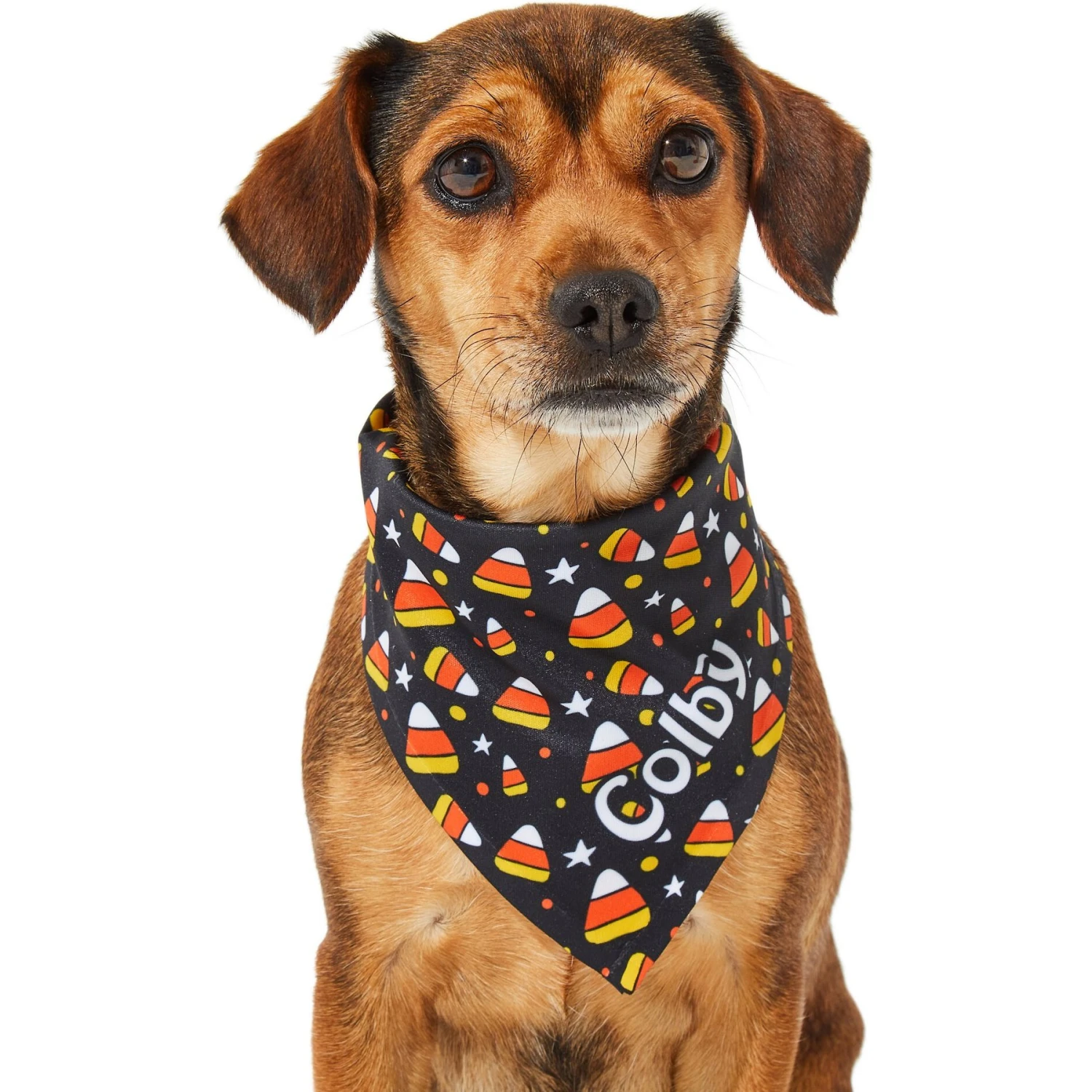 Frisco Candy Corn Personalized Dog & Cat Bandana 7 Frisco Candy Corn Personalized Dog & Cat Bandana - Image 7