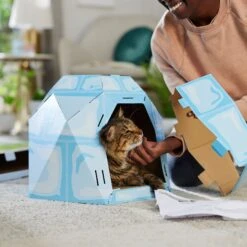 Frisco Igloo Cardboard Cat House 9 Frisco Igloo Cardboard Cat House -Meowverse Store 287293 PT3. AC SS1800 V1692035199