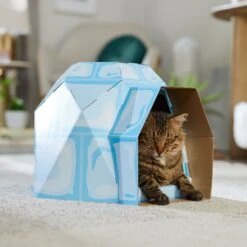 Frisco Igloo Cardboard Cat House 10 Frisco Igloo Cardboard Cat House -Meowverse Store 287293 PT4. AC SS1800 V1692035193