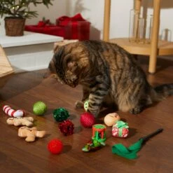 Frisco Holiday Festive Red Variety Pack Gift Box Cat Toy With Catnip, 14 Count 8 Frisco Holiday Festive Red Variety Pack Gift Box Cat Toy With Catnip, 14 Count -Meowverse Store 287305 PT3. AC SS1800 V1632773836